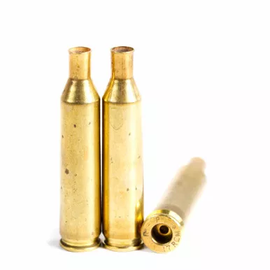.17 Remington Brand New Brass
